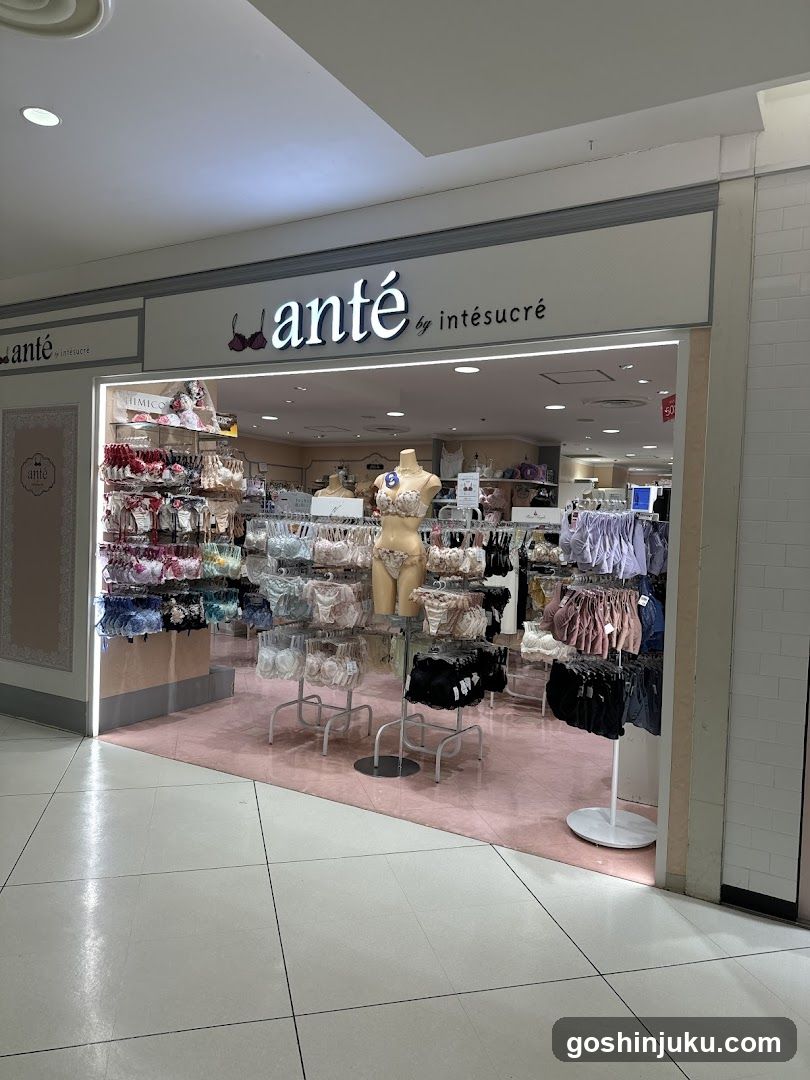 anté by intesucre