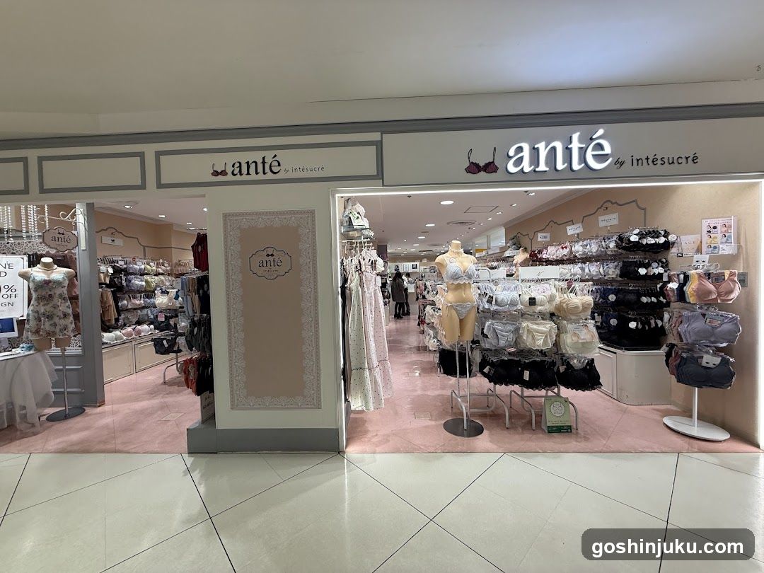 anté by intesucre
