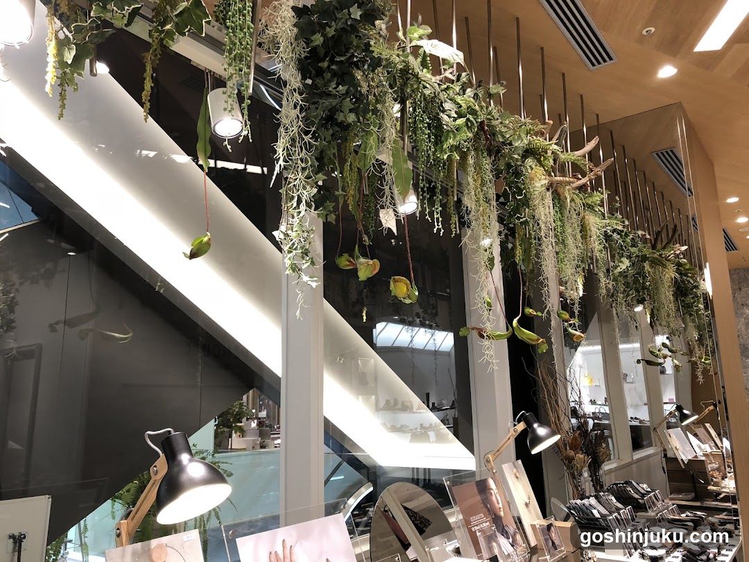 Interior Plant Display with Lighting and Merchandise