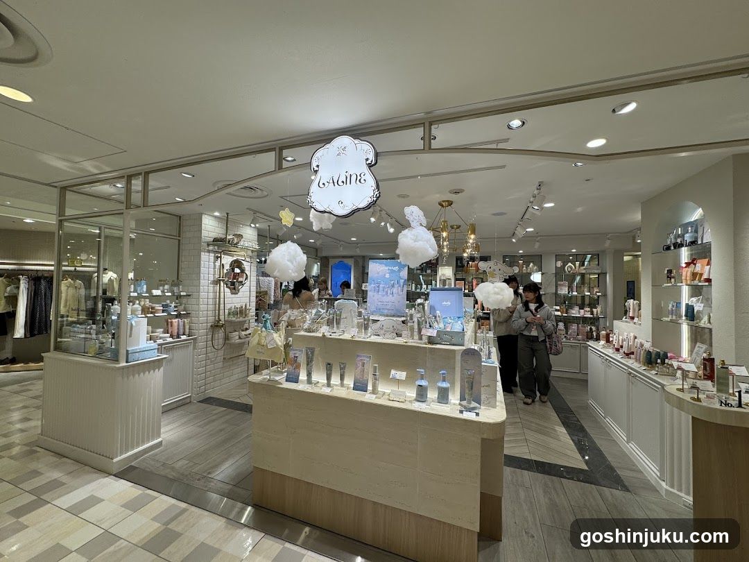 GAGINE Store Interior Display