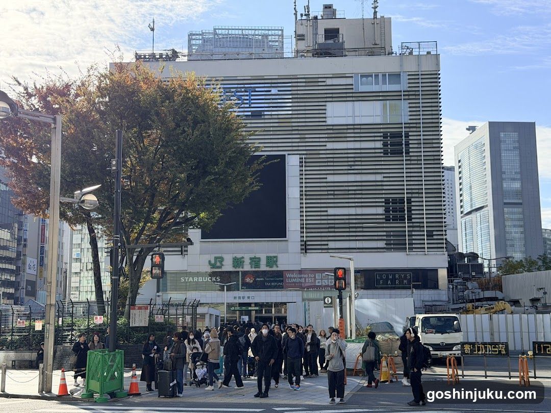 Shinjuku Station Area