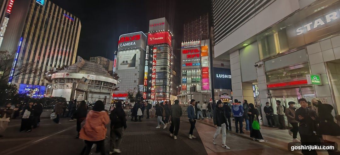 Night Street Scene with Crowds and Neon Signs