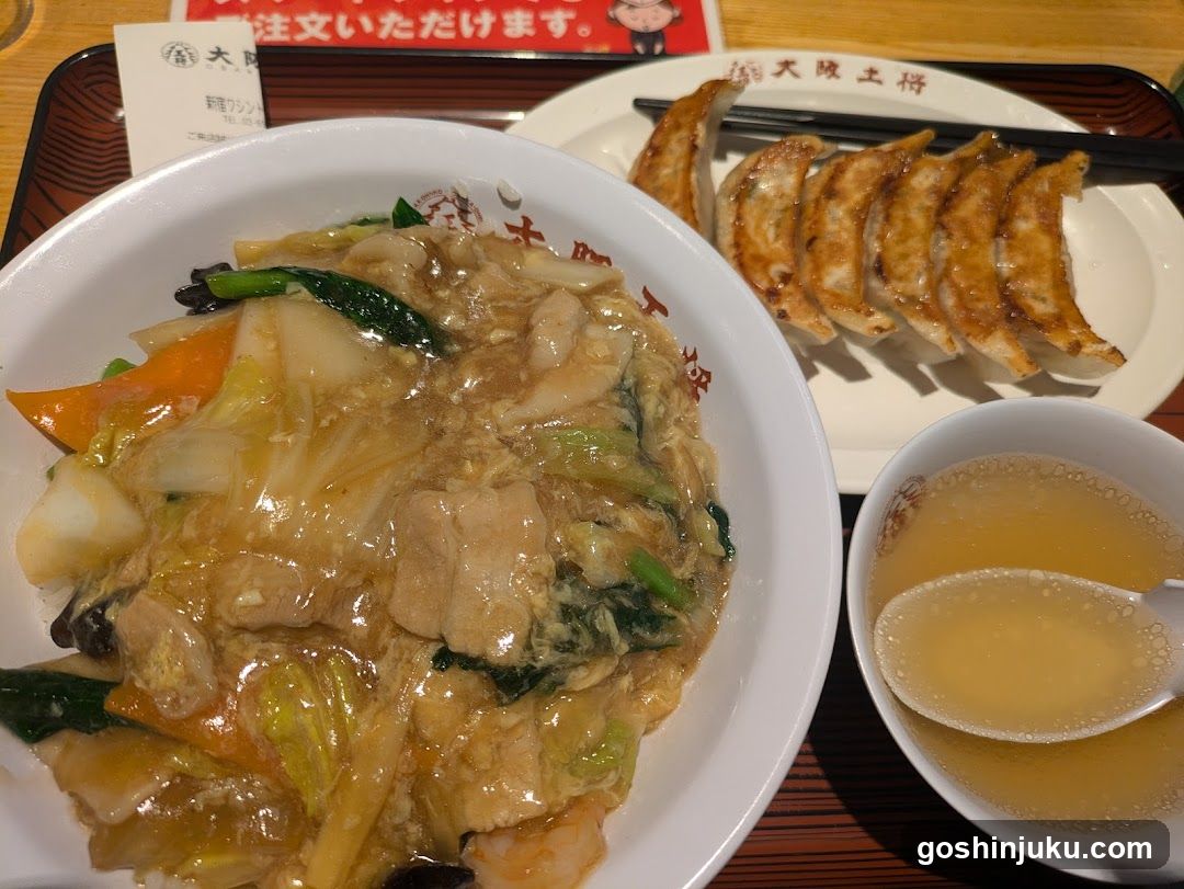 Japanese Meal with Gyoza and Stir-fry