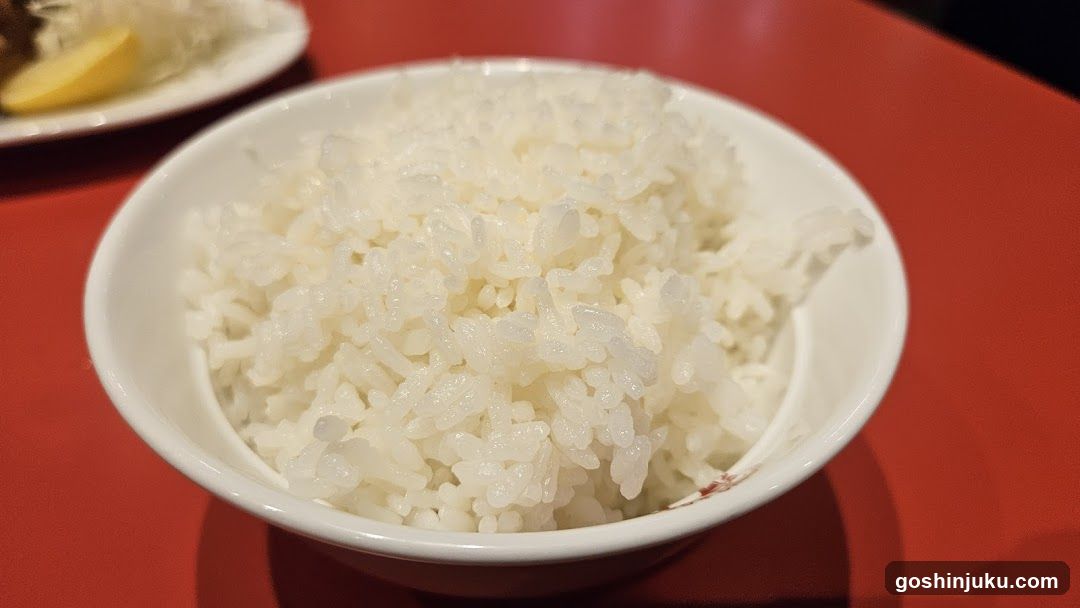 Bowl of White Rice