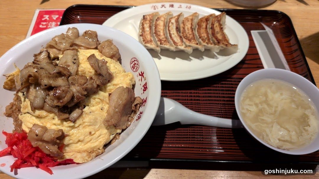 Japanese Meal with Gyoza and Tonkatsu Rice Bowl