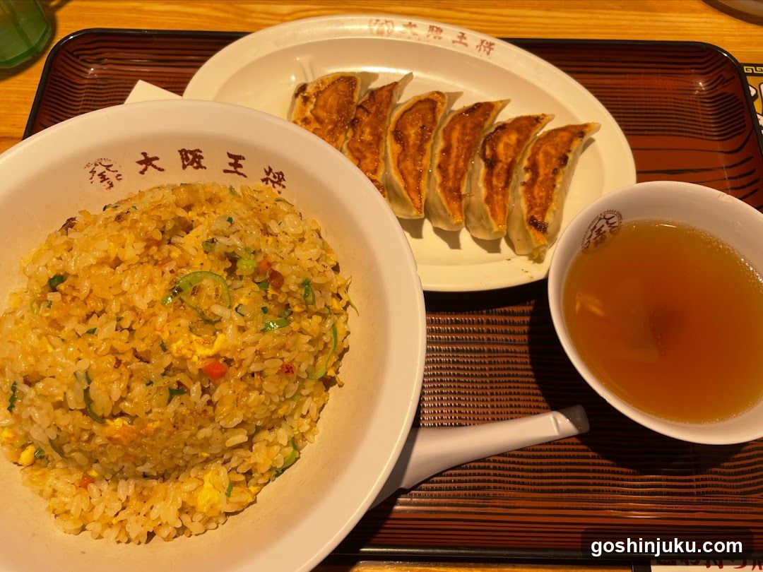 Japanese Meal with Gyoza and Fried Rice