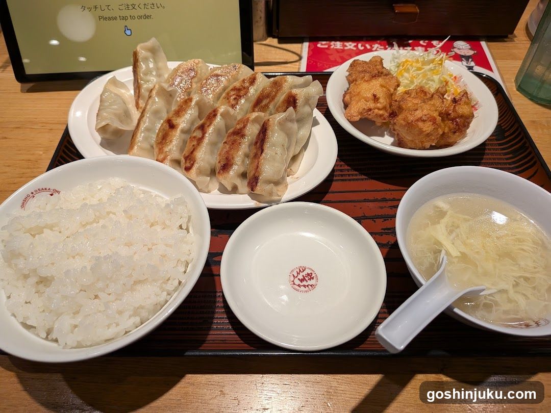 Dumpling and Fried Chicken Meal