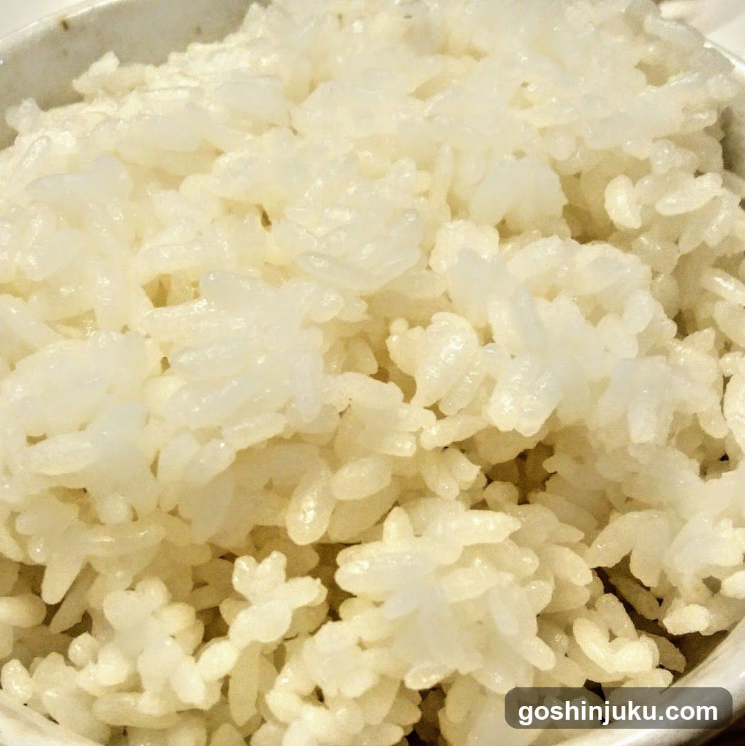 Bowl of White Rice