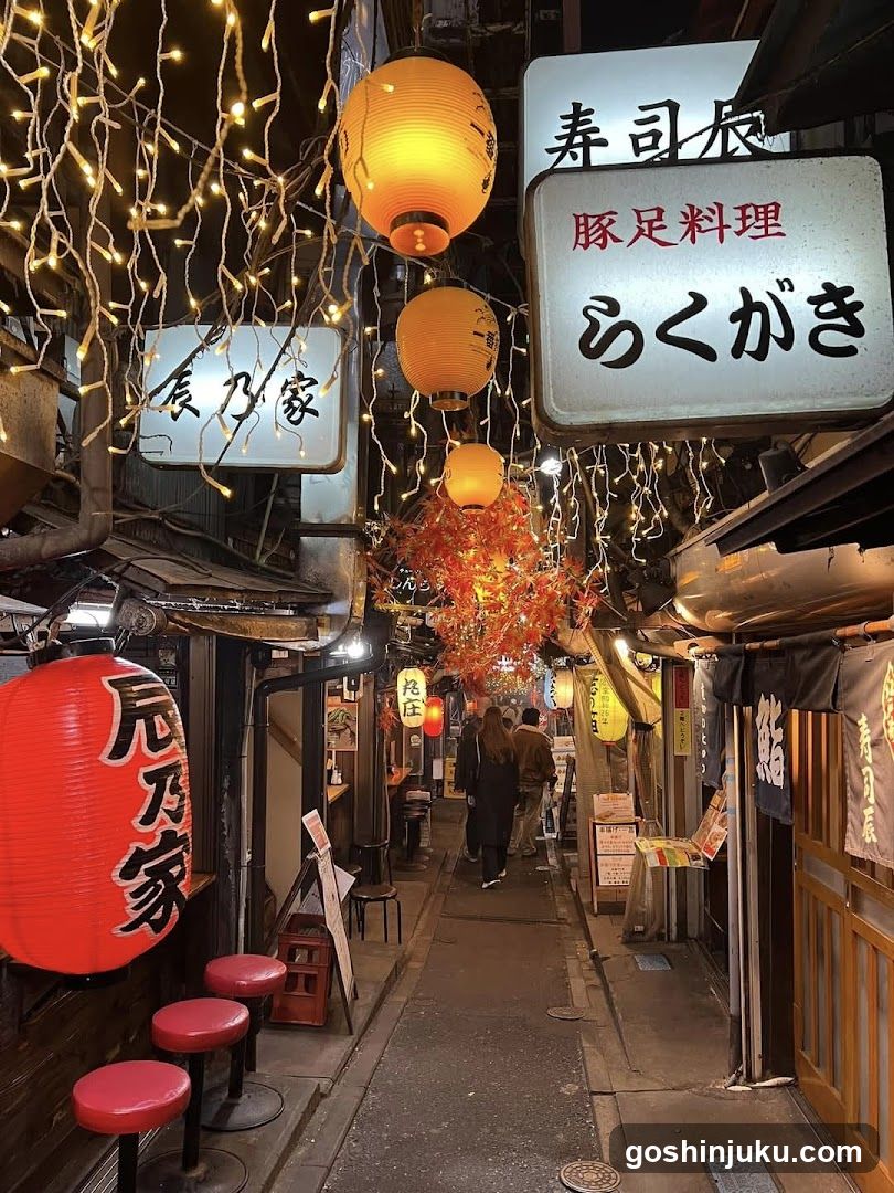 Nakagaya Street Night Scene