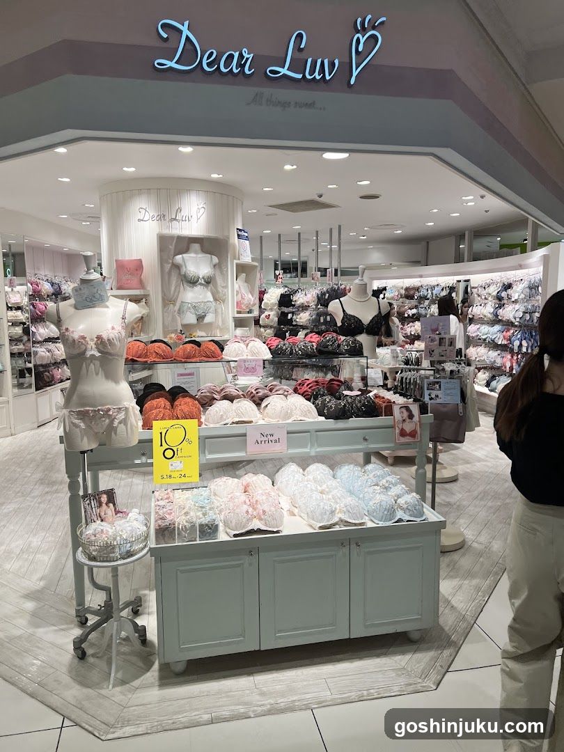 Boutique lingerie store interior display