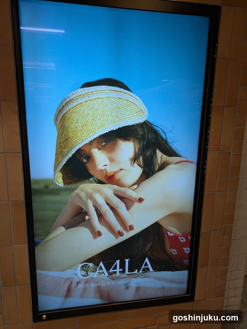 Fashion Advertisement