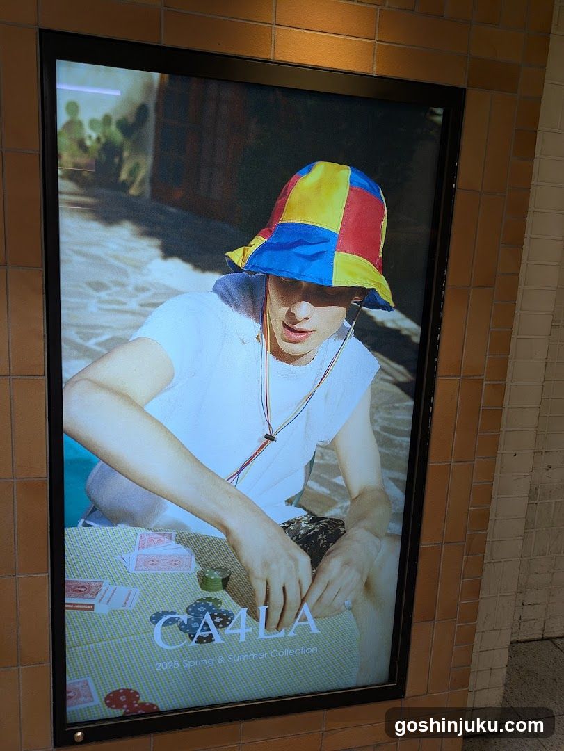 Fashion Advertisement