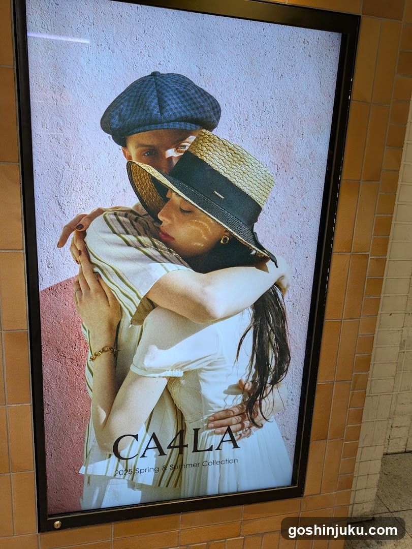 CA4LA Ad Poster