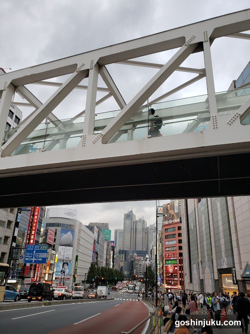 Urban Street View with Pedestrian Bridge