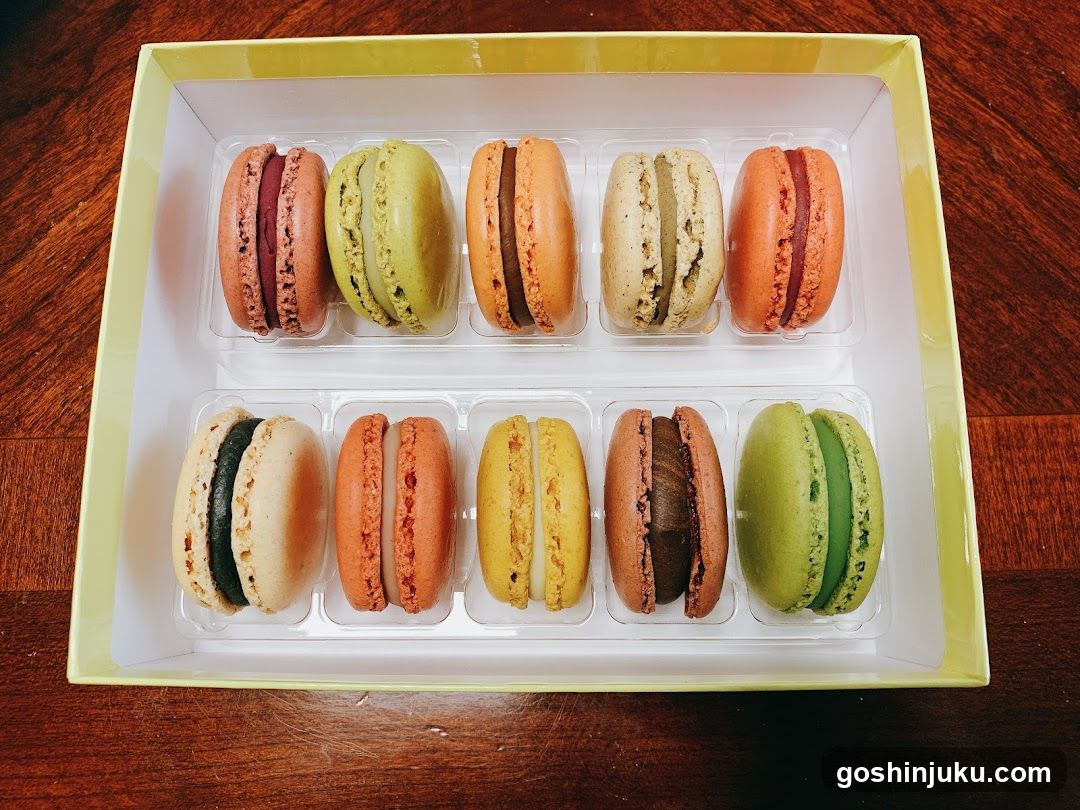 Macaron Box