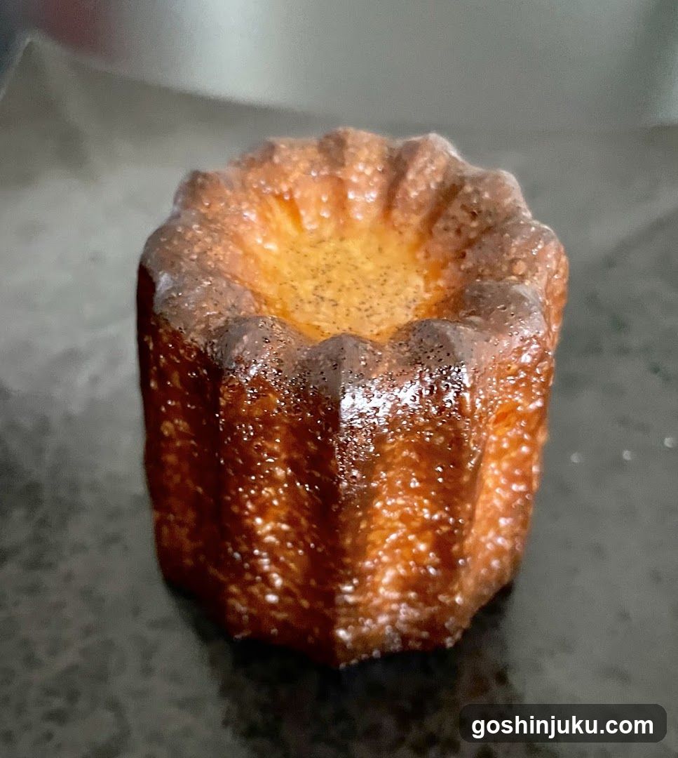 Cannelloni Cake