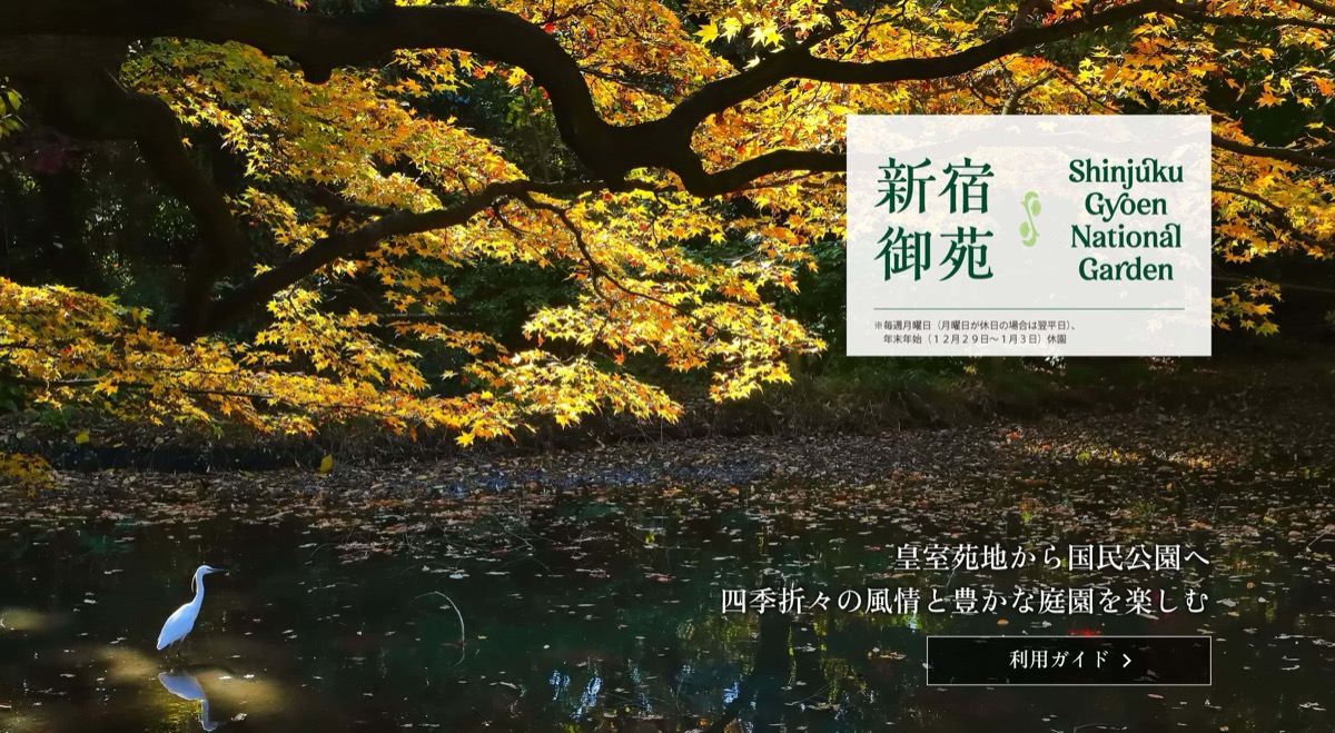 Autumn Foliage at Shinjuku Gyoen