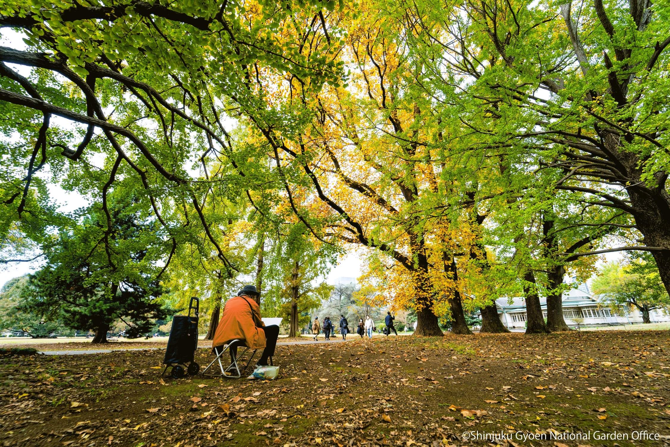 Autumn trees and a painter at Shinjuku Gyoen
