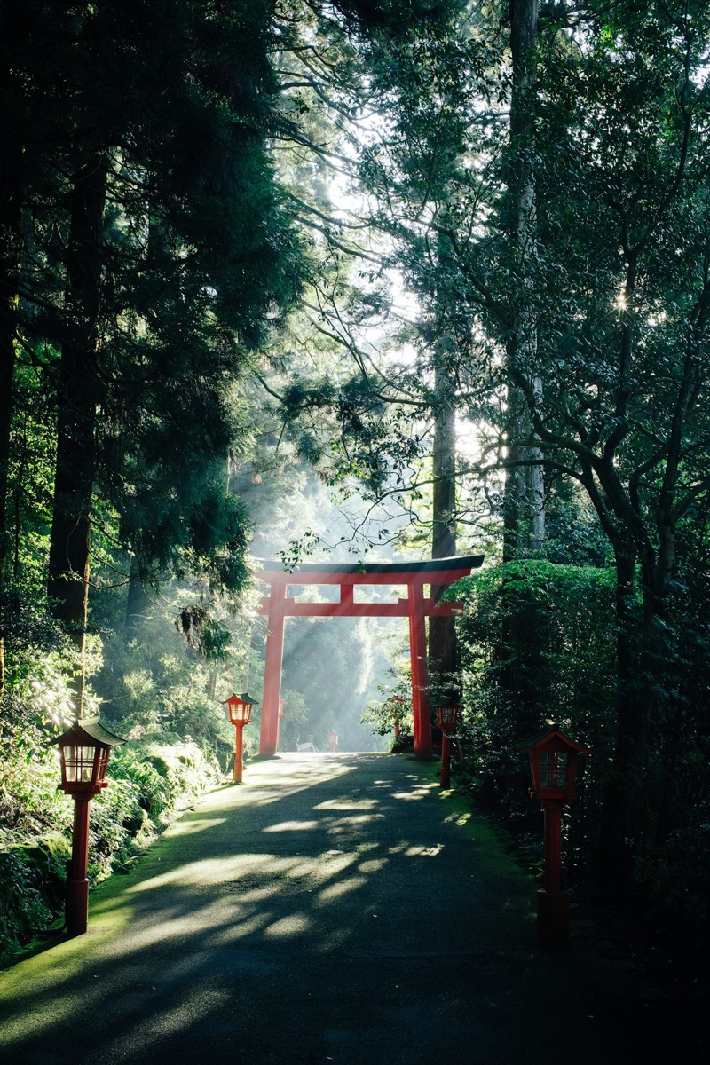 Suwa Shrine Grand Festival 2026