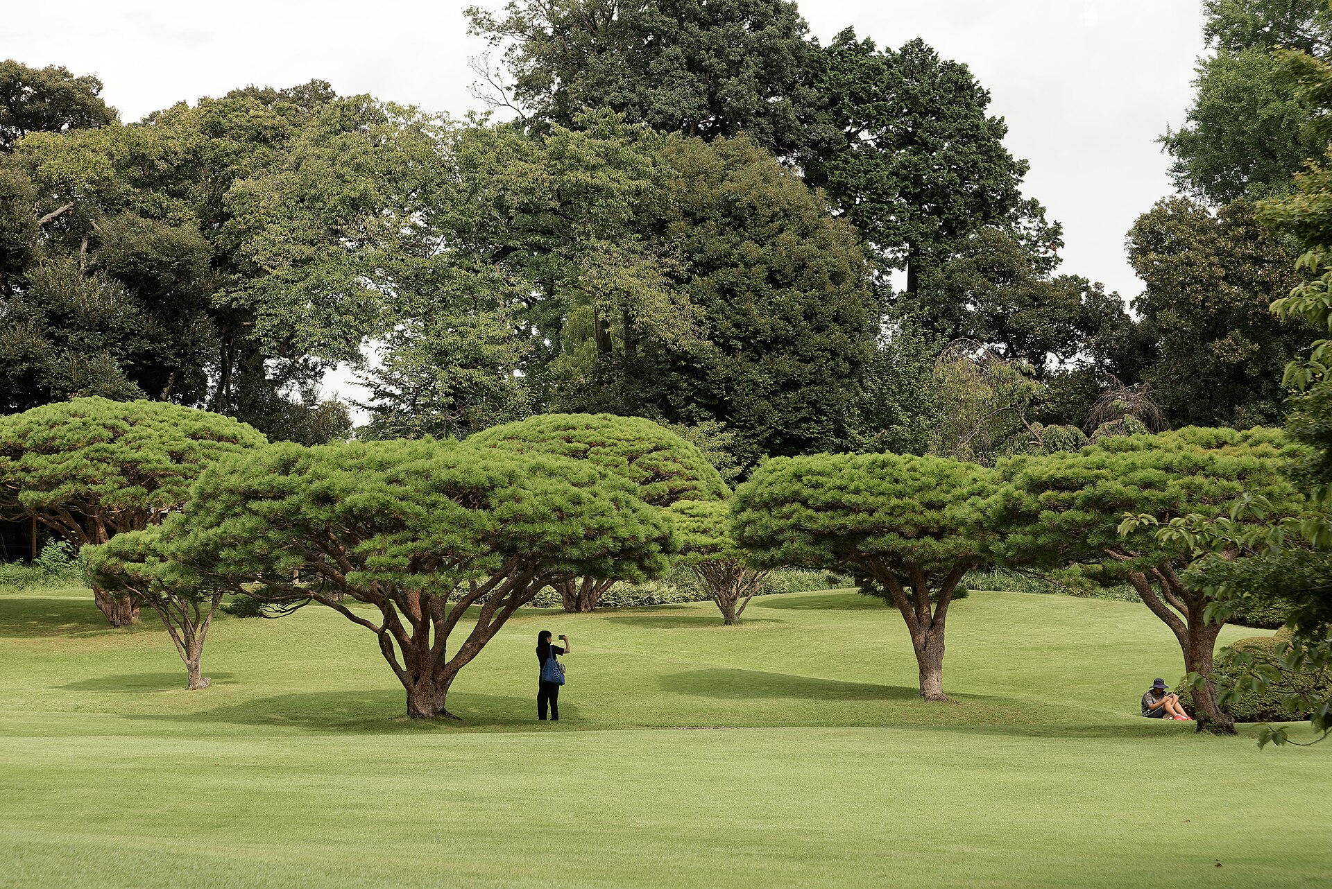 Shinjuku Gyoen National Garden